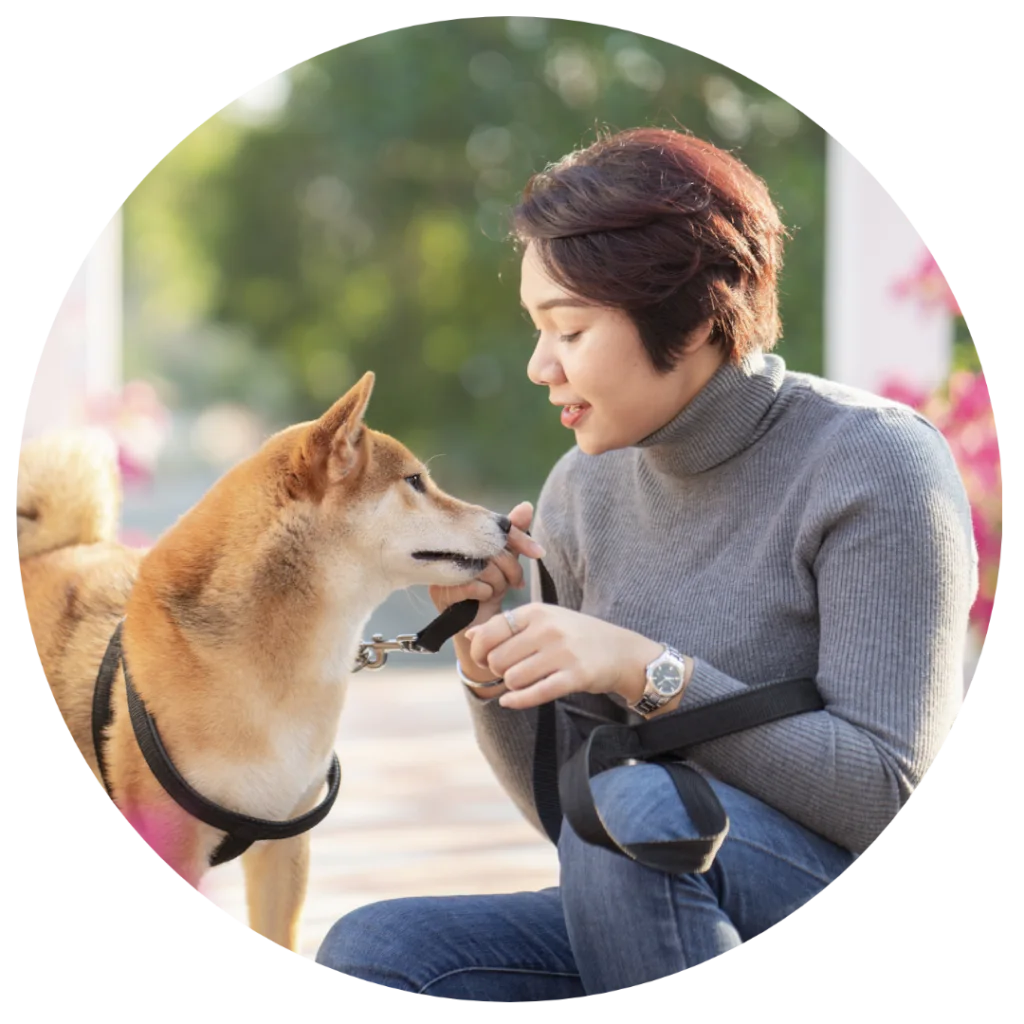 Example Avatar dog trainer